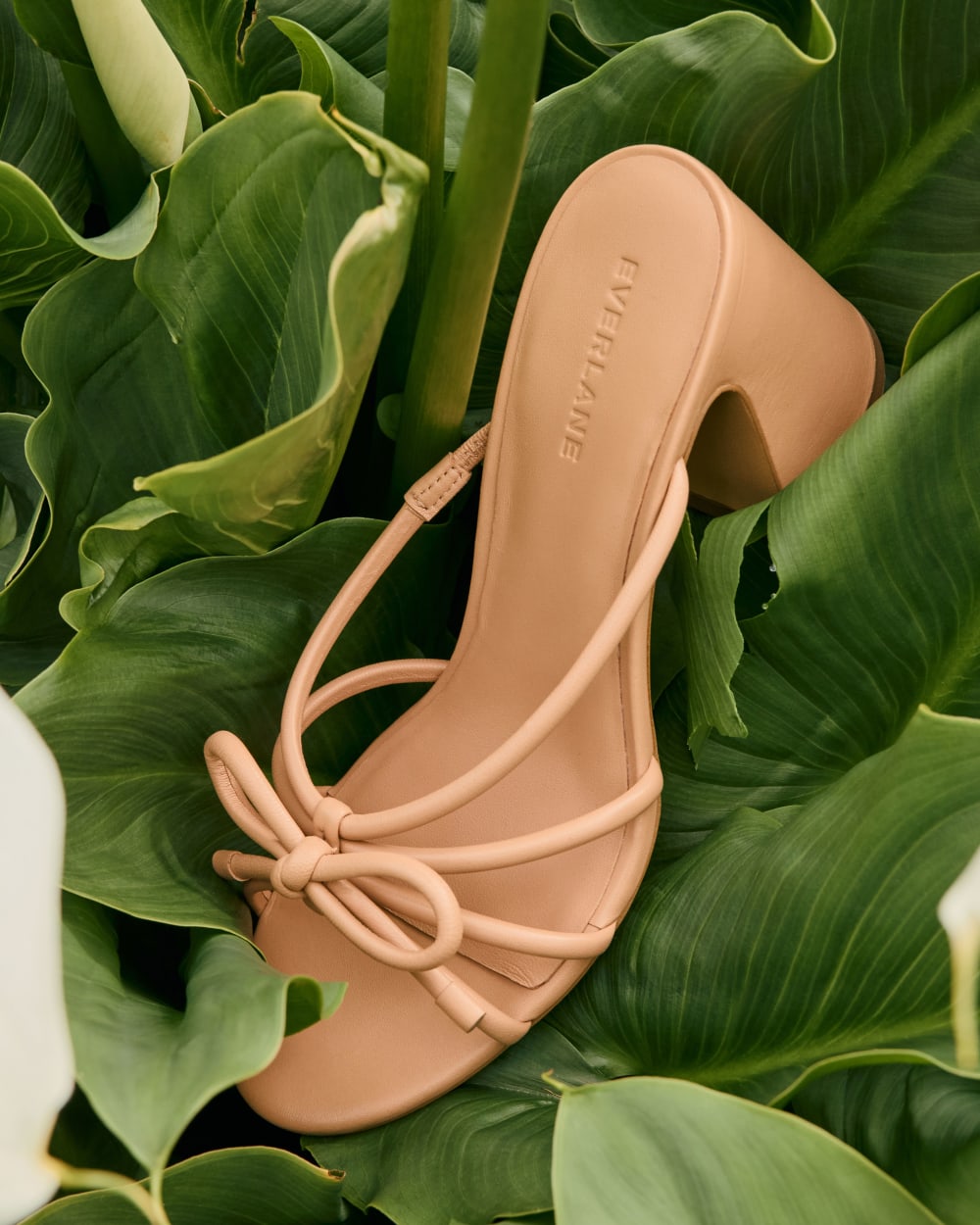 The Bow Heel | Blush Tan - Image 7