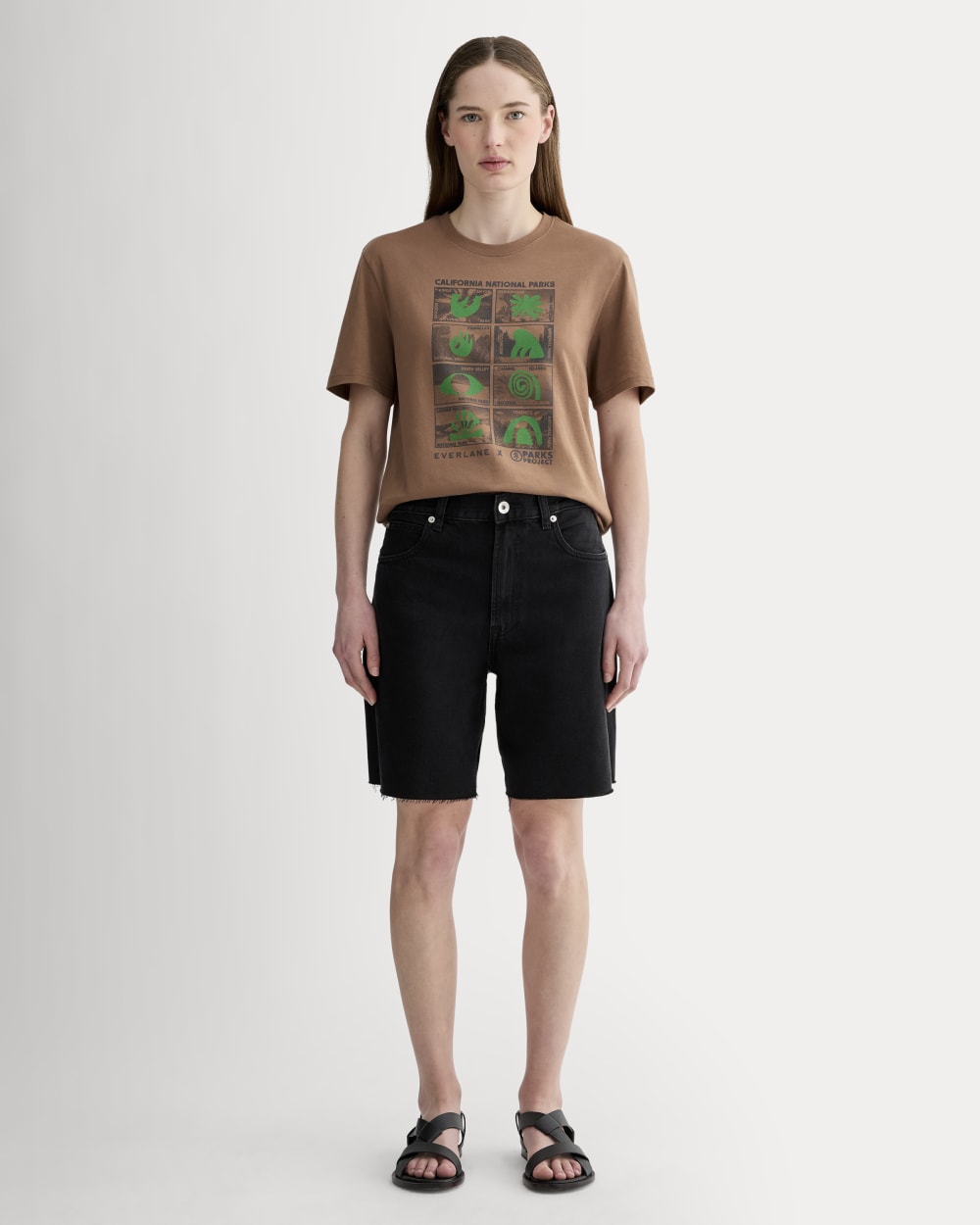 The Everlane x Parks Project Essential Organic Crew | Brown / Green / Forged Iron - Image 4