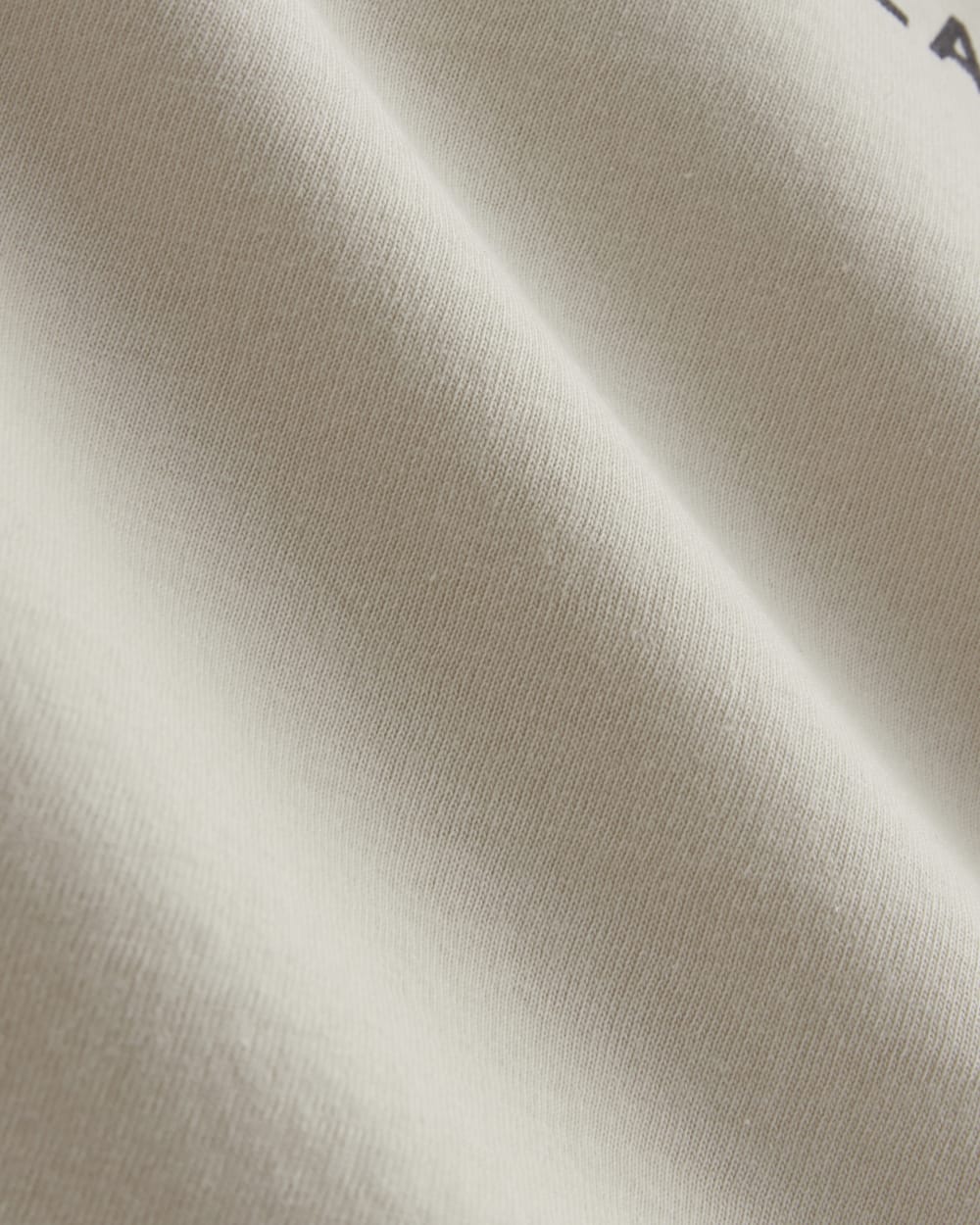 The Everlane x Parks Project Essential Organic Crew | Forged Iron / Birch / Granada Sky Blue / Green - Image 10