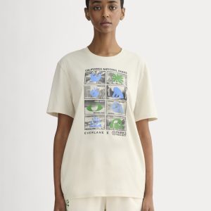 The Everlane x Parks Project Essential Organic Crew | Forged Iron / Birch / Granada Sky Blue / Green