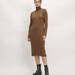 The Cotton-Merino Turtleneck Dress | Rich Camel