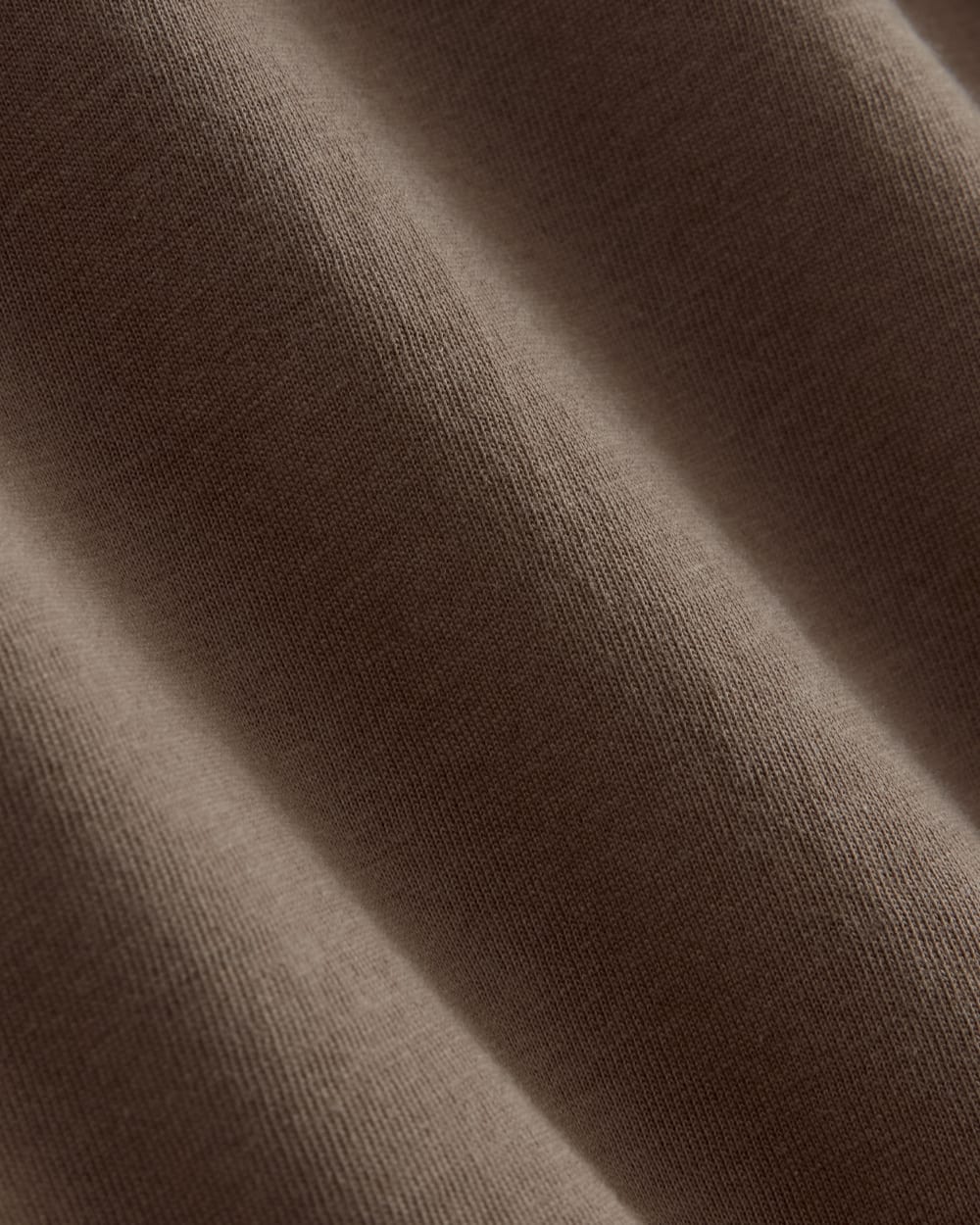 The Everlane x Parks Project Essential Organic Crew | Brown / Green / Forged Iron - Image 10